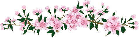 Barres Fleurs