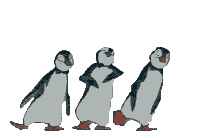 Barres Animaux