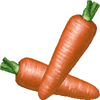 Tubes Aliments