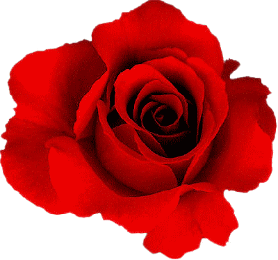Tubes Fleurs