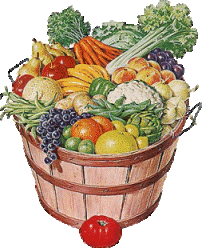 Tubes Aliments